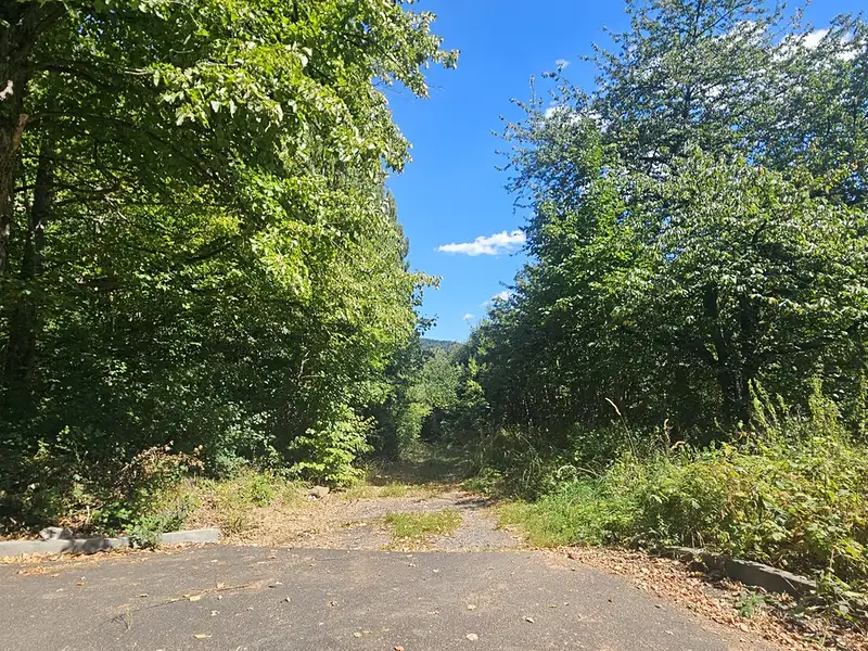 Prodej stavebního pozemku 5379 m², Ústí nad Labem – náhled fotky 3
