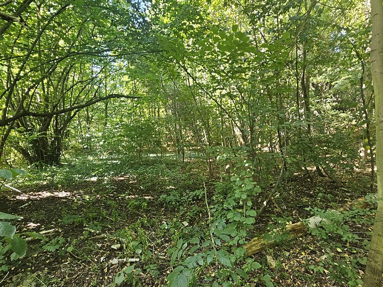 Prodej pozemku, 5 379 m² (17 z 17)
