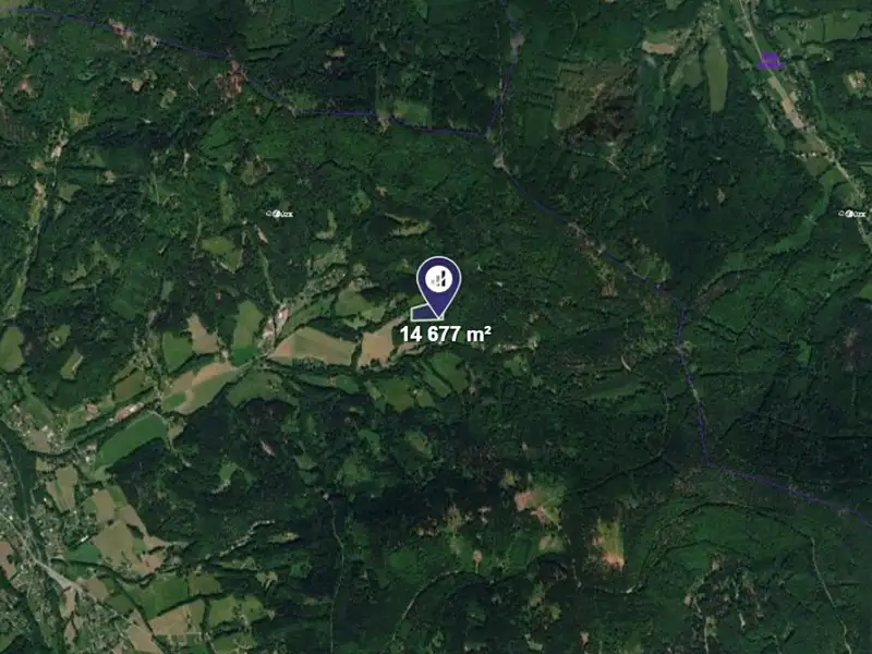 Prodej lesa 14677 m², Morávka – náhled fotky 2