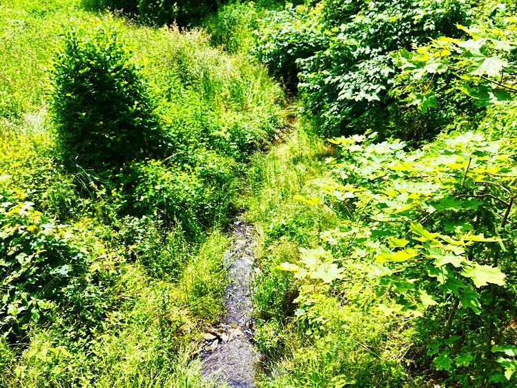 Grundstück zum Kauf, 1.280 m² (7 von 8)
