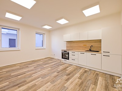 Pronájem bytu 1+kk 31 m²