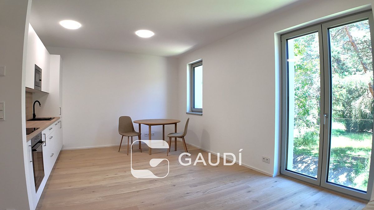 Pronájem bytu 1+kk 37 m²
