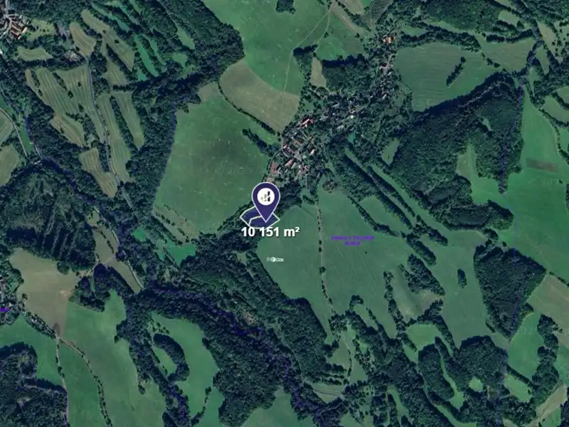 Prodej lesa 10151 m², Lovečkovice – náhled fotky 2