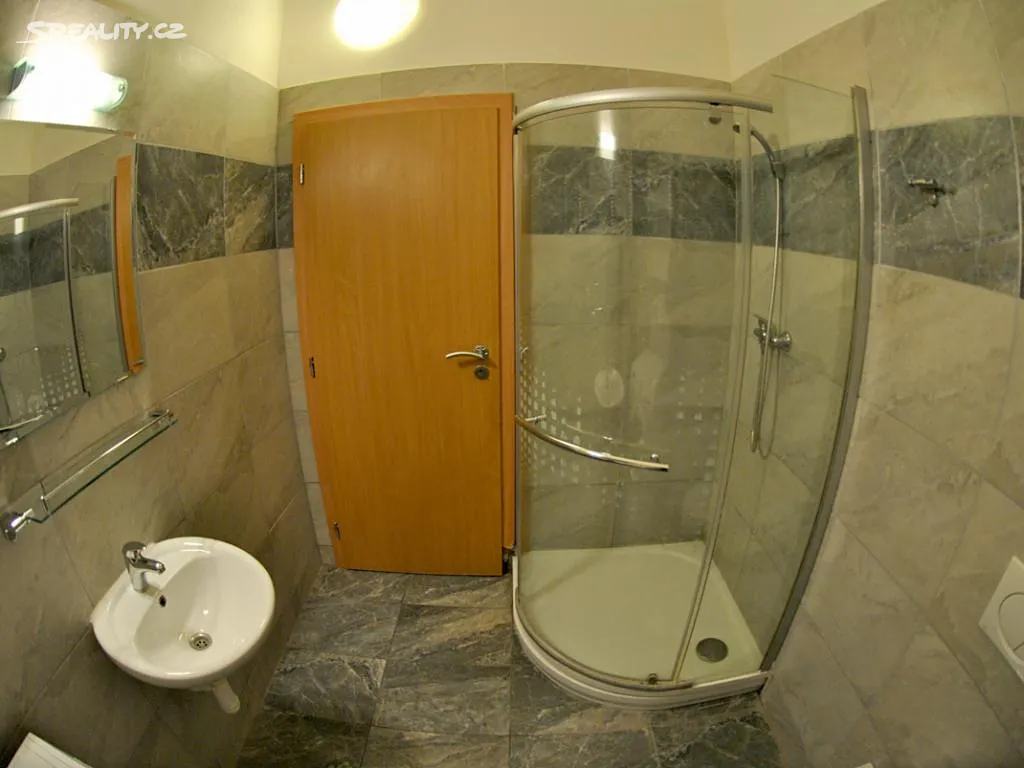 Pronájem bytu pokoje 13 m² – další