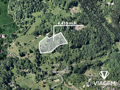 Prodej lesa 4439 m²