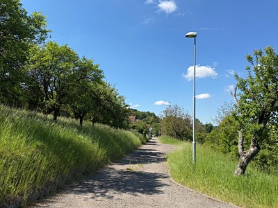 Prodej  stavebního pozemku 1 833 m²
