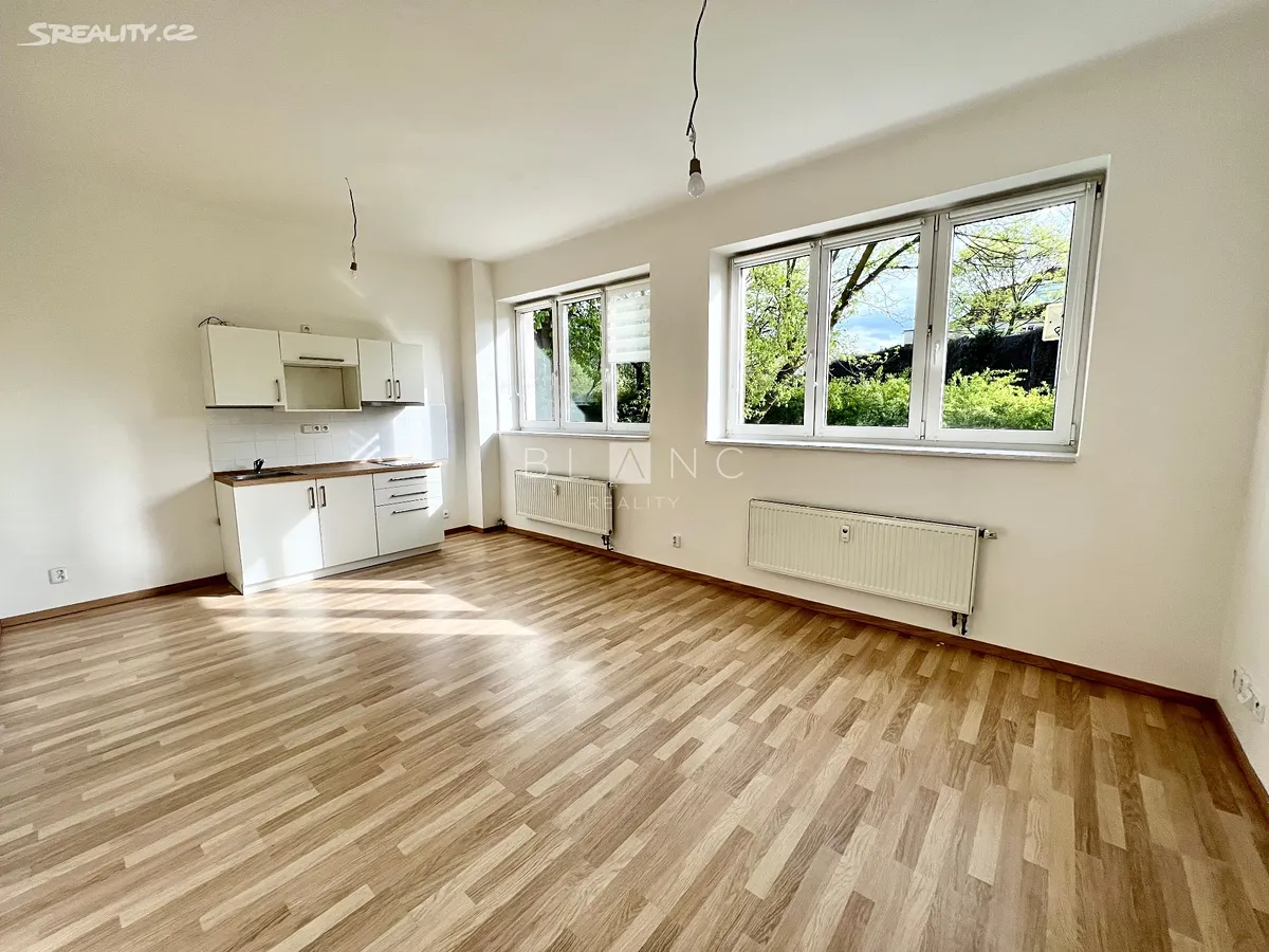 Pronájem bytu 1+kk 35 m², Praha