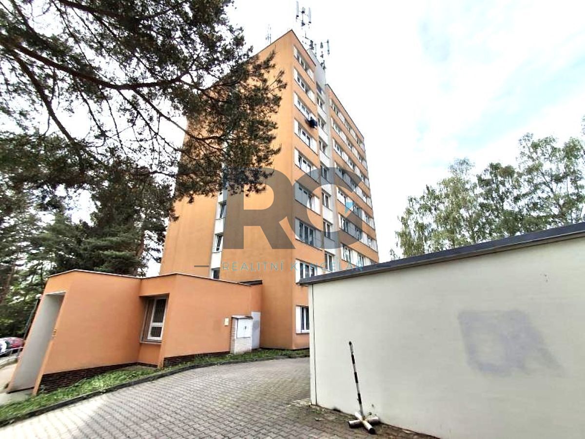 Pronájem bytu 1+1 40 m² – fotografie 4