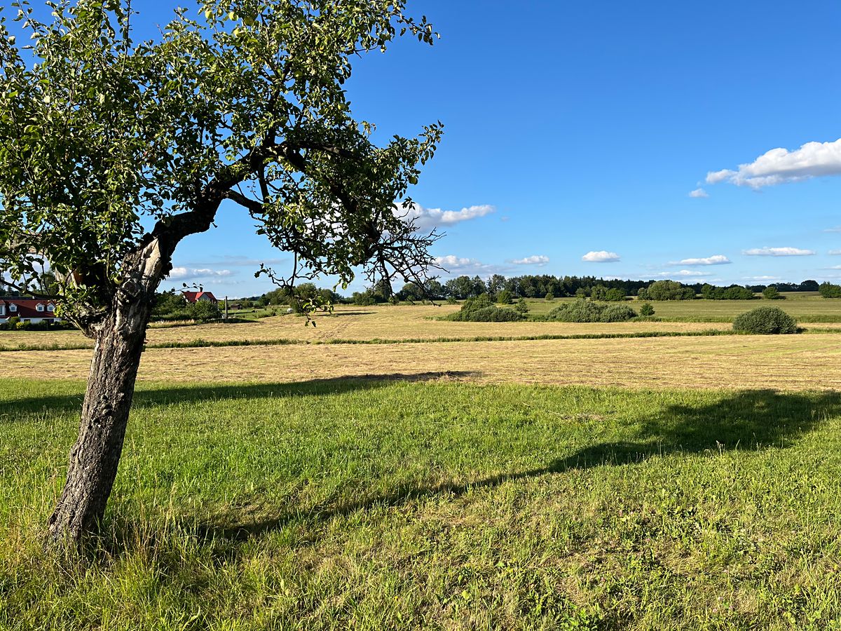 Prodej stavebního pozemku 2500 m² – fotografie 5