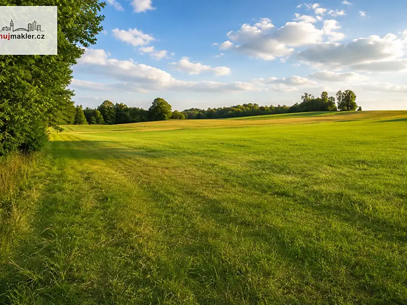 Prodej stavebního pozemku 2845 m², Žirovnice – náhled fotky 3