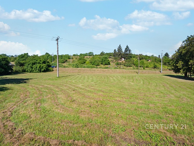 Ostatní