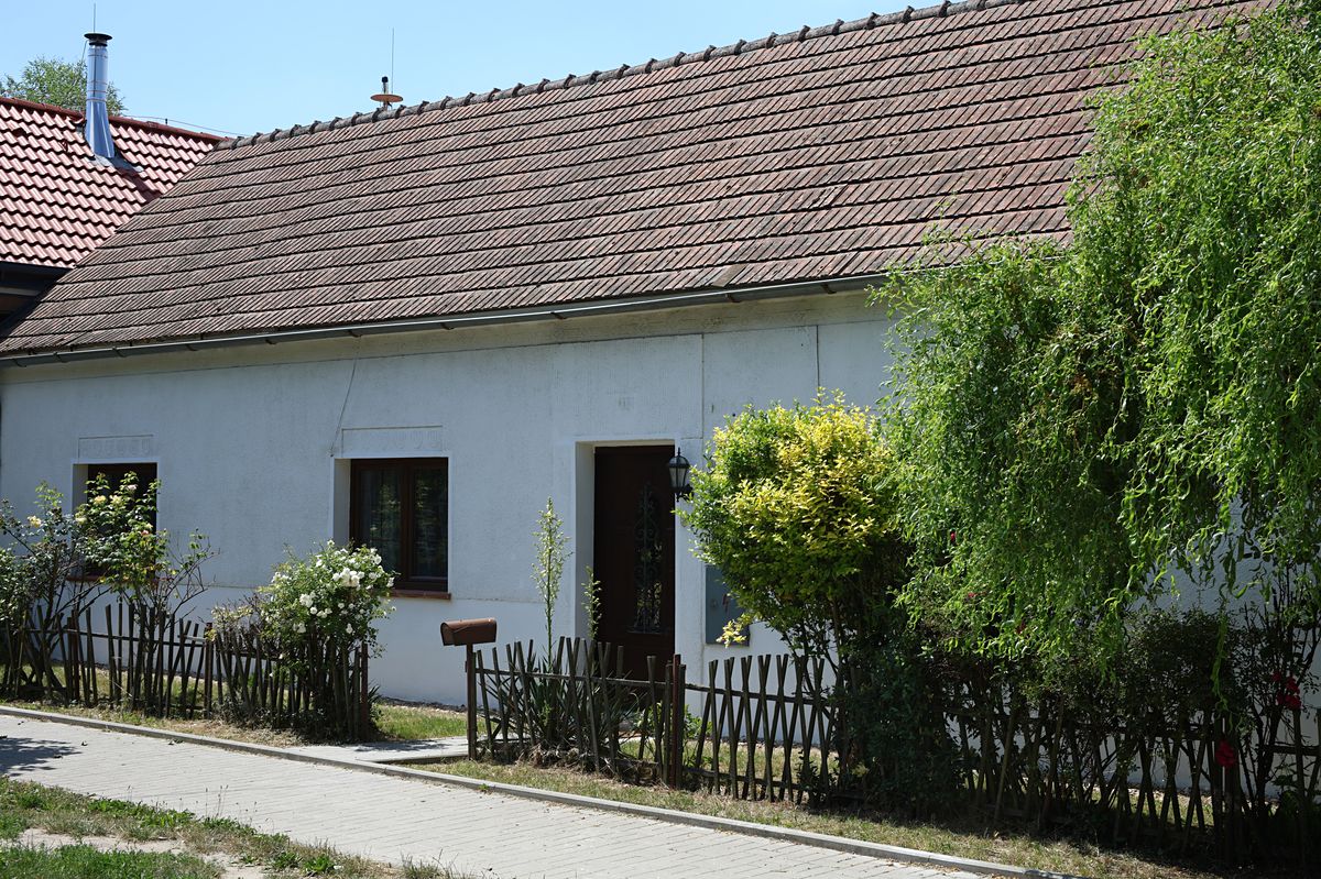 Prodej rodinného domu 161 m², pozemek 364 m² – fotografie 3