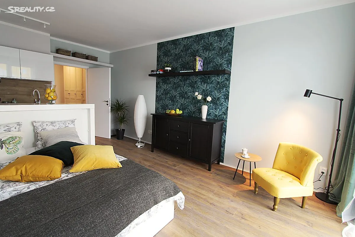 Pronájem bytu 1+kk 31 m², Praha