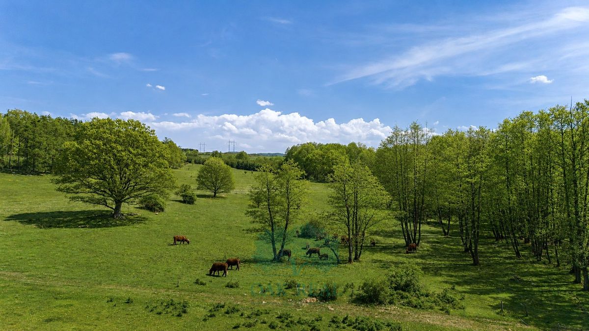 Prodej louky 274000 m² – fotografie 2