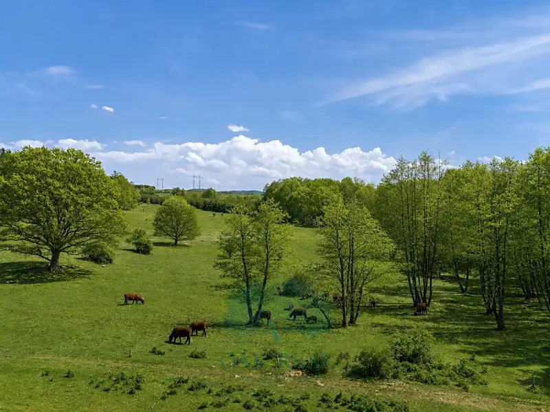 Prodej louky 274000 m², Vrchotovy Janovice – náhled fotky 2