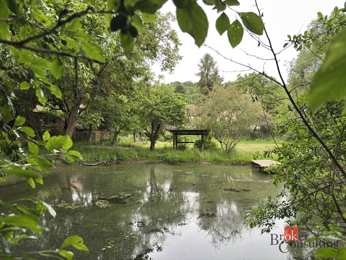 Prodej rodinného domu 139 m², pozemek 3126 m² – fotografie 3