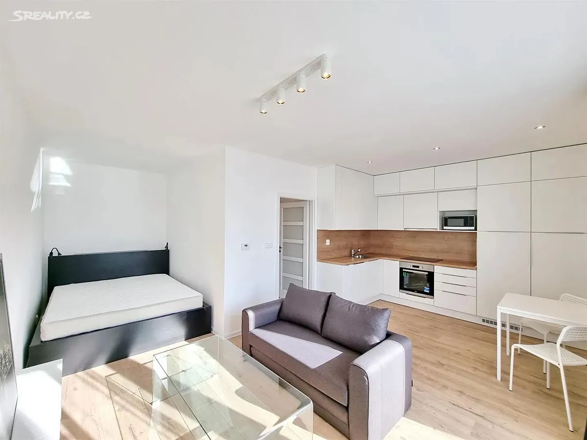 Pronájem bytu 1+kk 32 m², Chýně