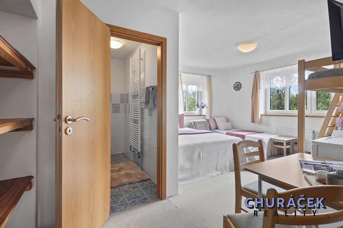 Prodej rodinného domu 280 m², pozemek 2000 m² – fotografie 5