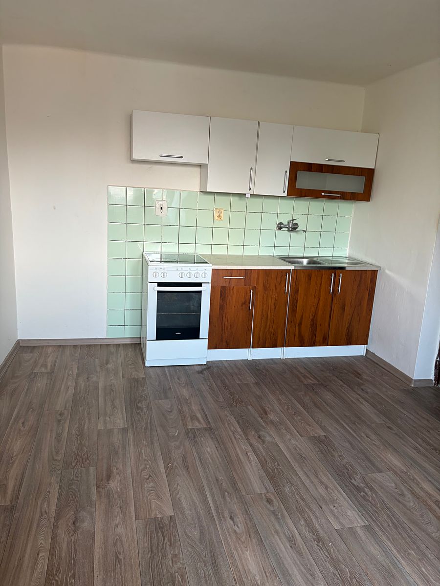 Pronájem bytu 1+1 53 m²