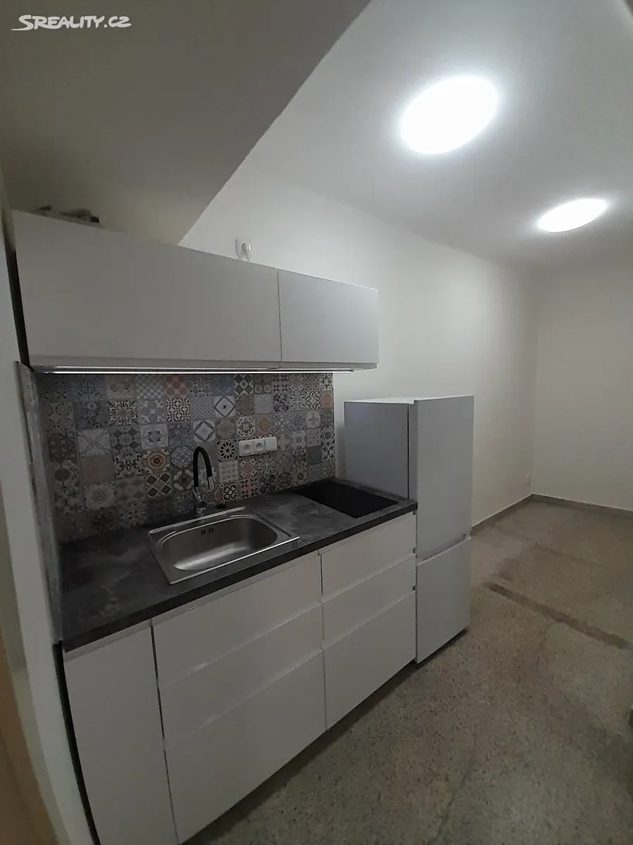Pronájem bytu 1+kk 33 m², Praha