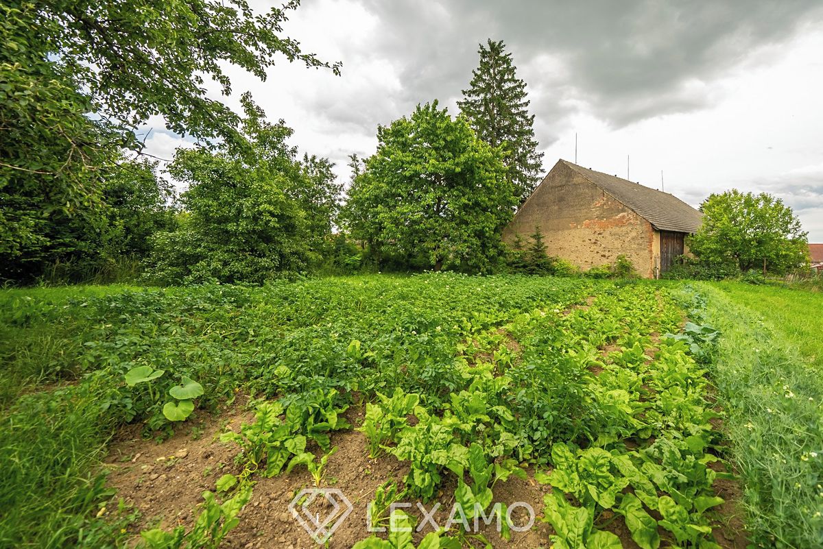 Prodej stavebního pozemku 1287 m² – fotografie 3