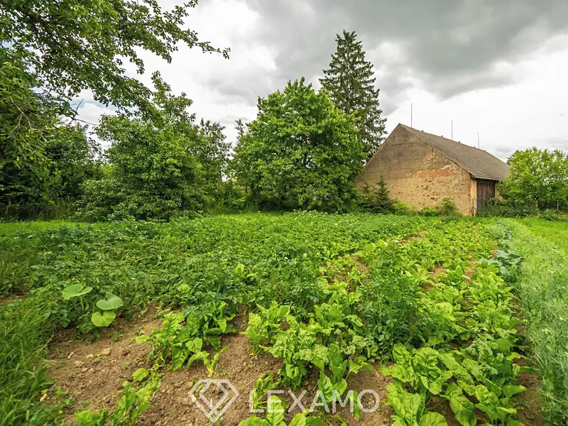 Prodej stavebního pozemku 1287 m², Martínkov – náhled fotky 3