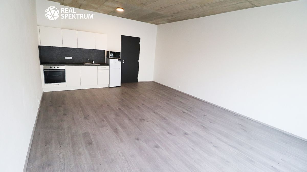 Pronájem bytu 1+kk 44 m²