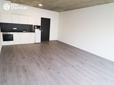 Pronájem bytu 1+kk 44 m²