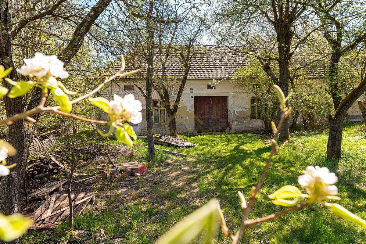Prodej zemědělské usedlosti 130 m², pozemek 97954 m² – fotografie 5