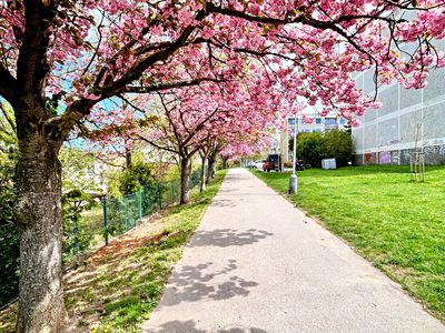 Prodej bytu 4+1 92 m²