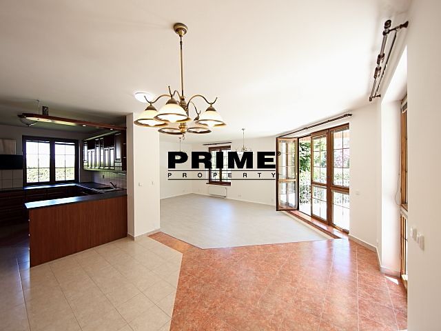 Pronájem rodinného domu 390 m², pozemek 903 m² – fotografie 2