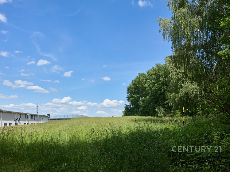 Ділянка на продаж, 5 410 м² (8 з 11)