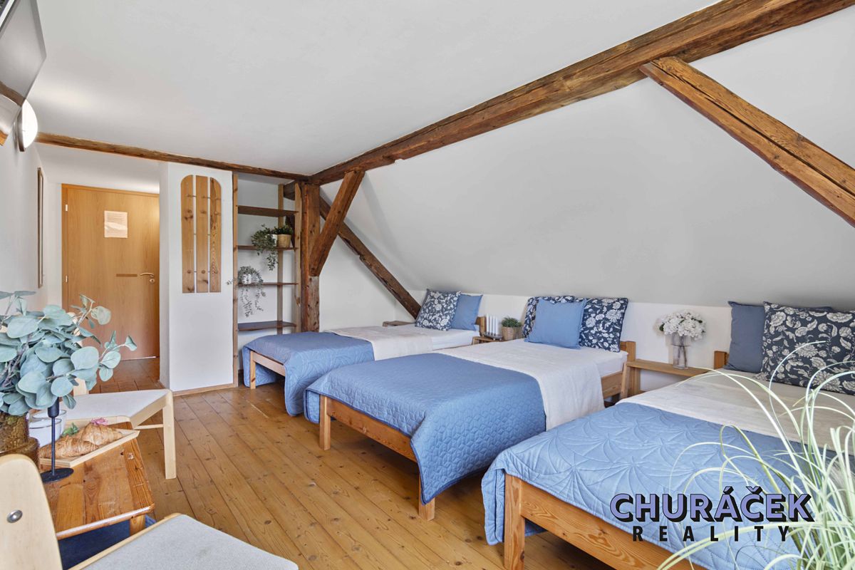 Prodej rodinného domu 280 m², pozemek 2000 m² – fotografie 2