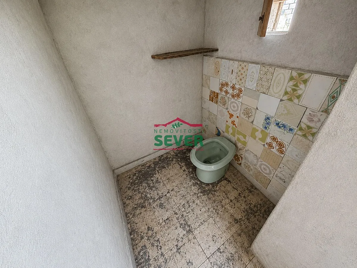 Fotka 10 z 13