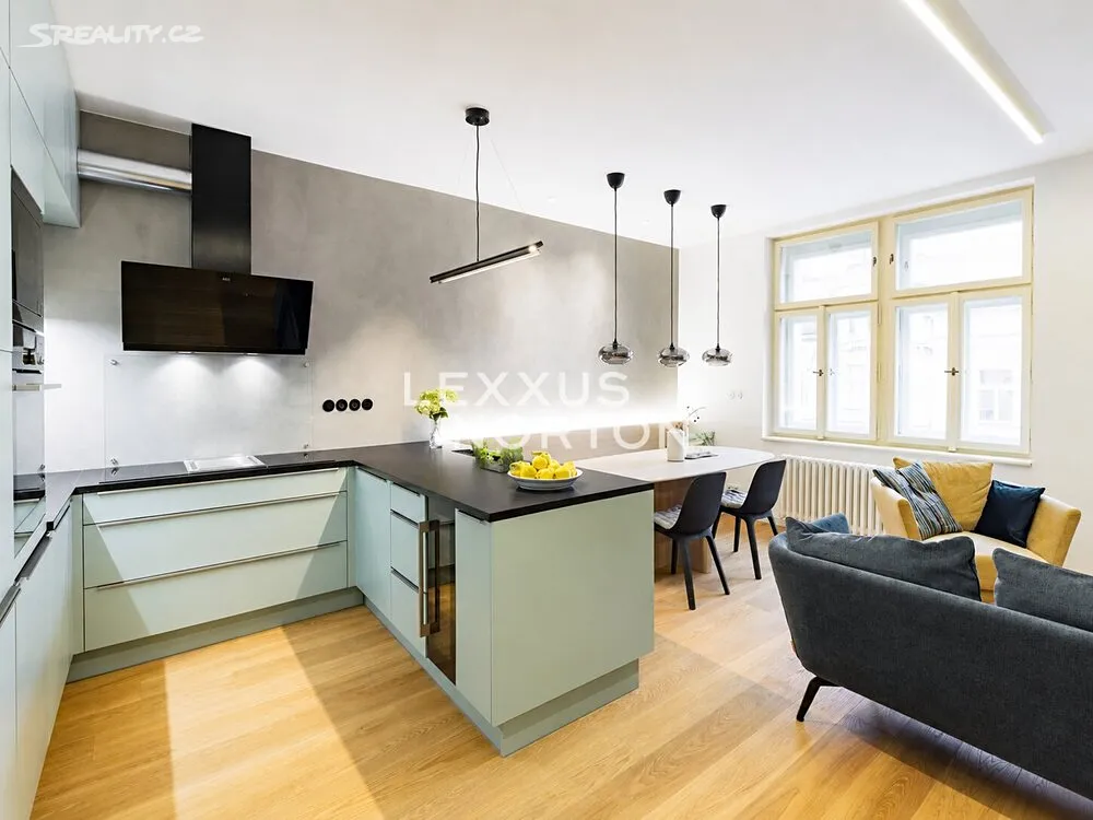 Pronájem bytu 4+kk 104 m², Mánesova
