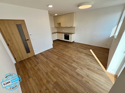 Pronájem bytu 3+kk 60 m²