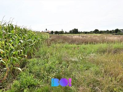 Grundstück zum Kauf, 5.182 m² (2 von 10)