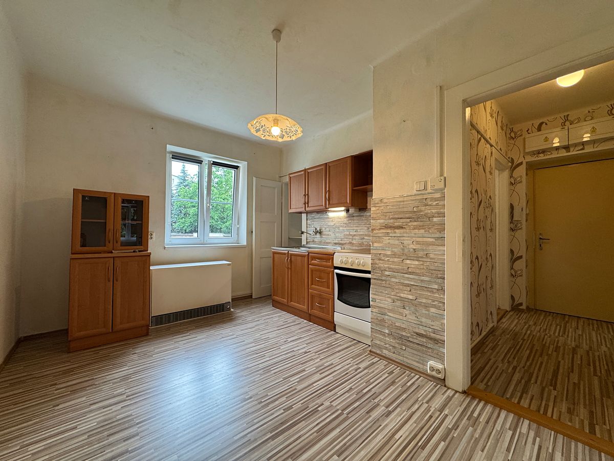 Pronájem bytu 2+1 45 m²