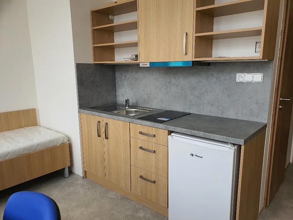Pronájem bytu pokoje 16 m²