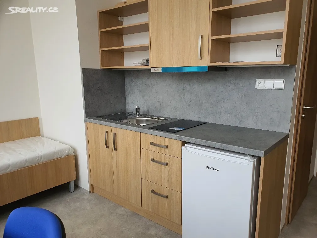 Pronájem bytu 1+kk 16 m², Plzeň