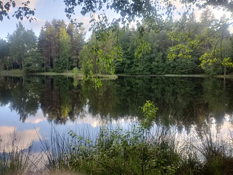 Prodej chalupy 100 m², pozemek 969 m², Horní Slavkov – náhled fotky 2