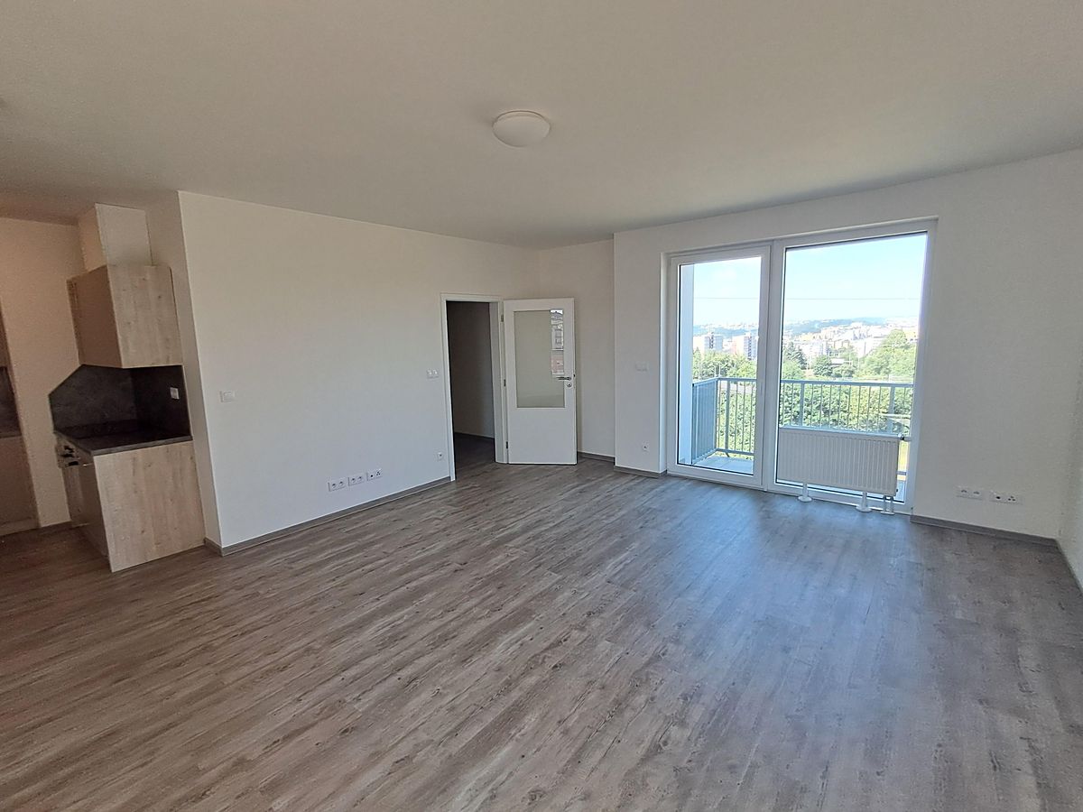 Pronájem bytu 1+kk 42 m²