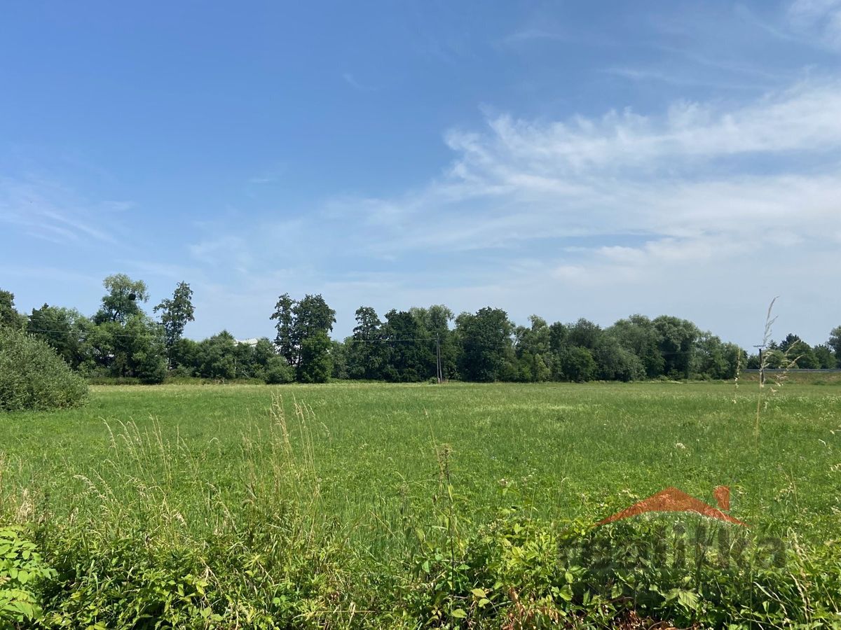 Prodej komerčního pozemku 11000 m²