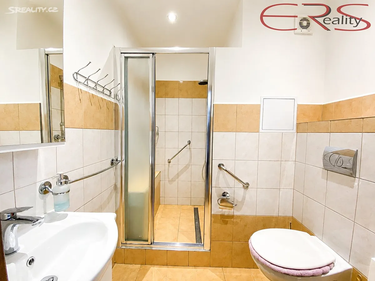 Pronájem bytu 2+kk 45 m² - Widok 5