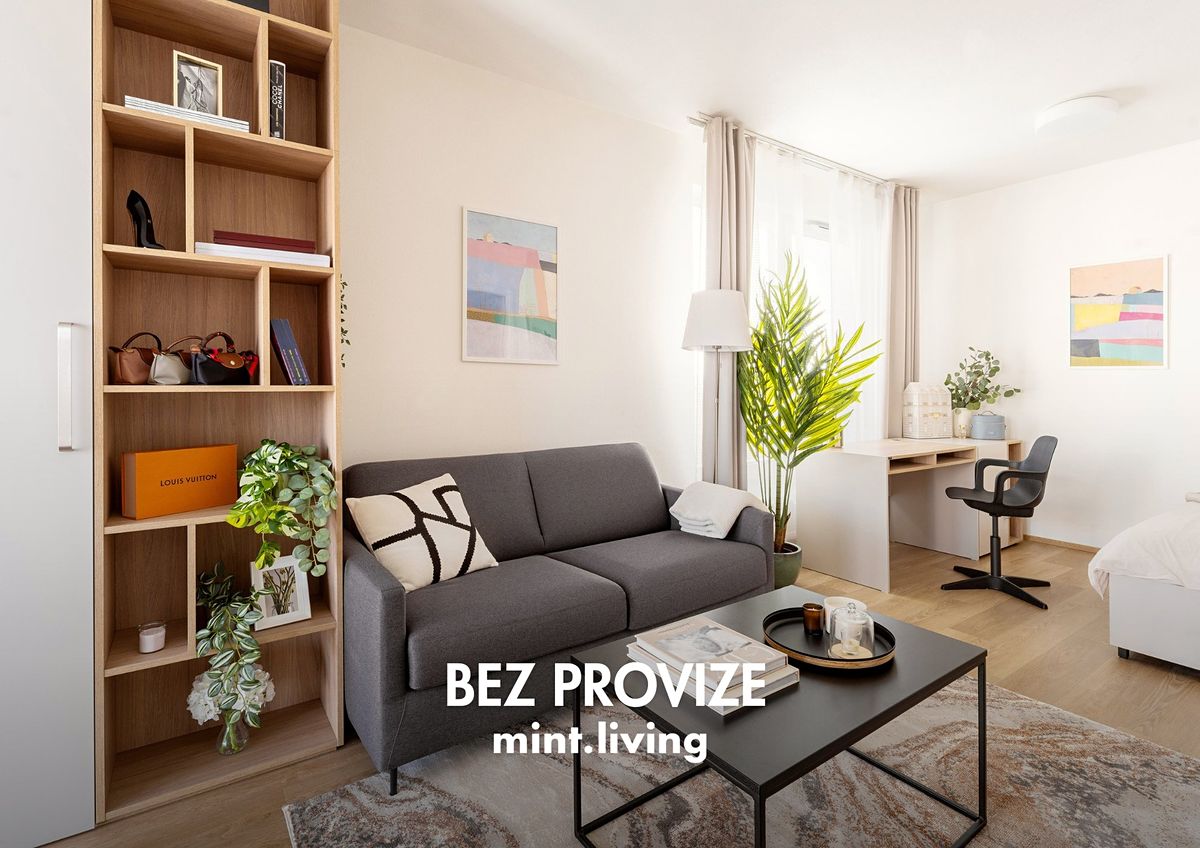 Pronájem bytu 1+kk 39 m²