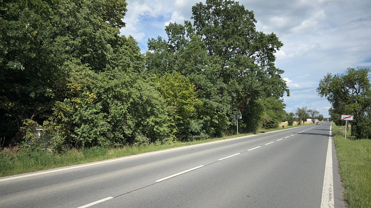 Prodej komerčního pozemku 3893 m² – fotografie 2