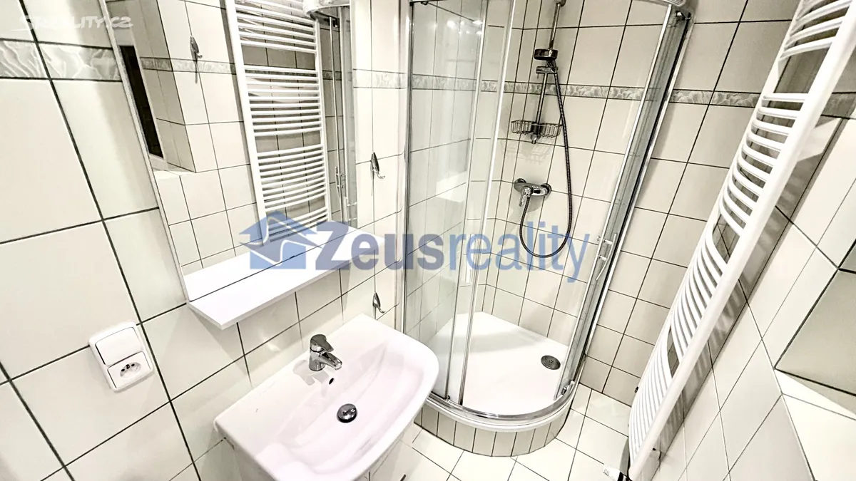 Pronájem bytu 1+1 50 m², Praha