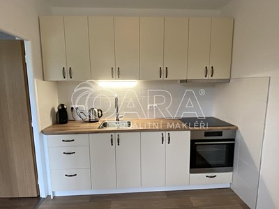 Pronájem bytu 1+1 39 m²