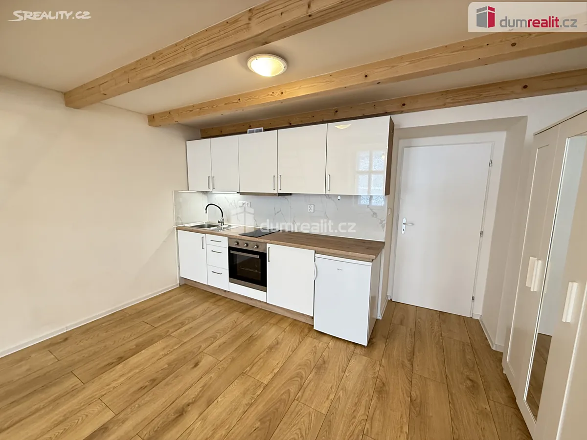 Pronájem bytu 1+kk 48 m² – pohled 4
