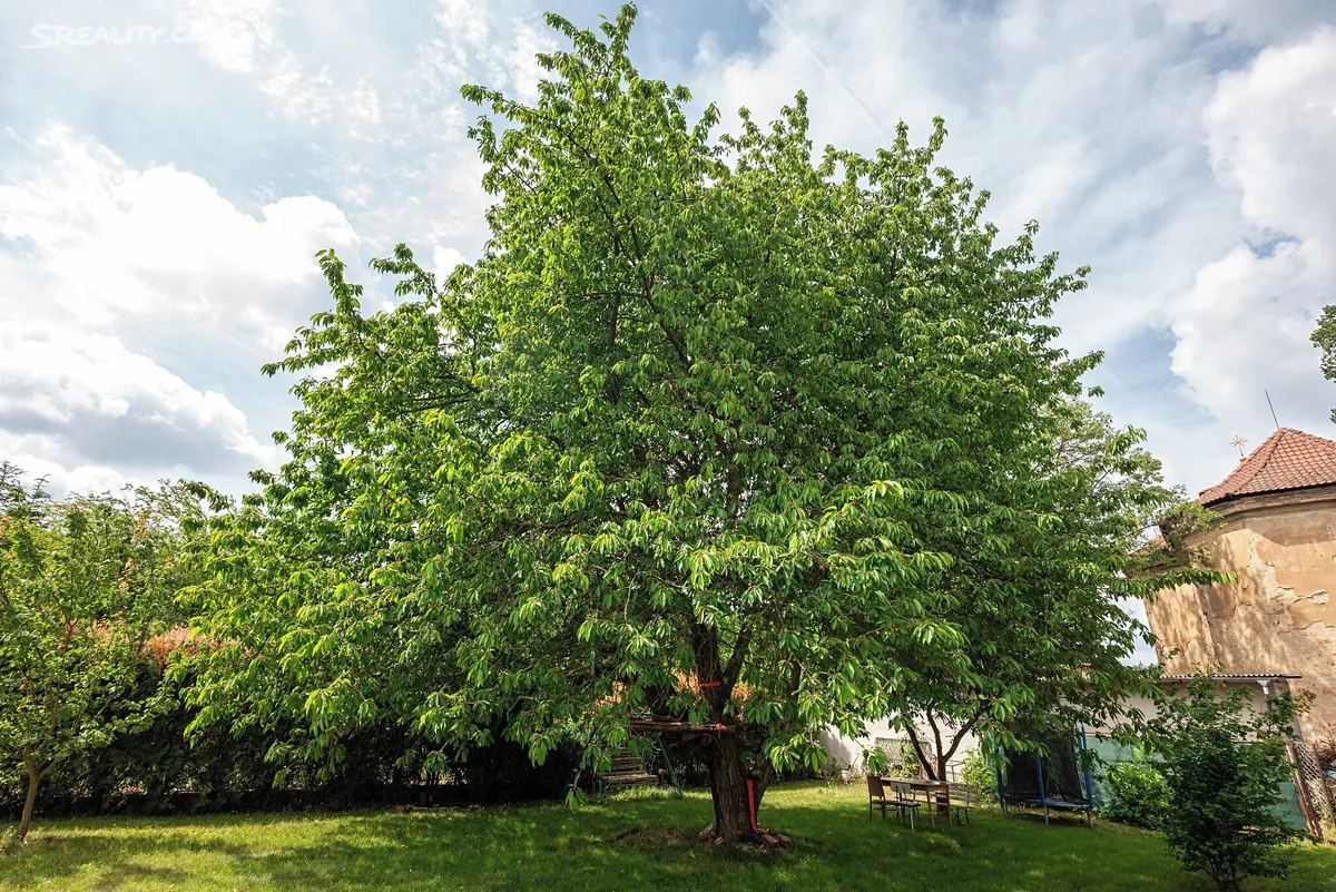 Prodej rodinného domu 250 m², pozemek 999 m² – pohled 3